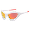 Wasps Sunglasses